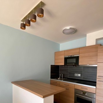 Budapest | District 3 | 1 bedrooms |  79.900.000 HUF (€204.900) | #181374